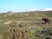 Otro rincn del Valle de los Faraones. Manzaneda, Orense